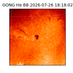 gong - 2026-07-26T18:18:02
