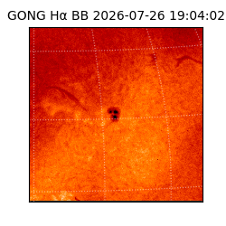 gong - 2026-07-26T19:04:02