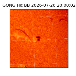 gong - 2026-07-26T20:00:02