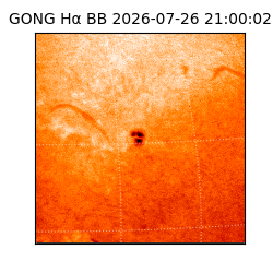 gong - 2026-07-26T21:00:02
