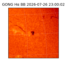 gong - 2026-07-26T23:00:02
