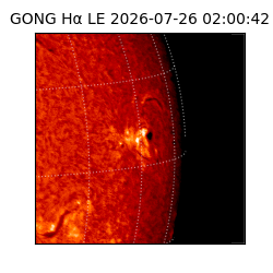 gong - 2026-07-26T02:00:42