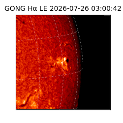 gong - 2026-07-26T03:00:42