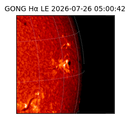 gong - 2026-07-26T05:00:42