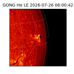 gong - 2026-07-26T06:00:42