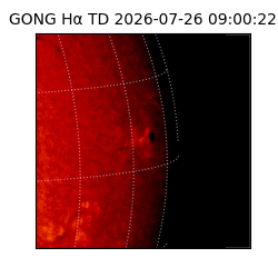 gong - 2026-07-26T09:00:22