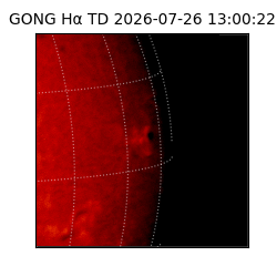 gong - 2026-07-26T13:00:22