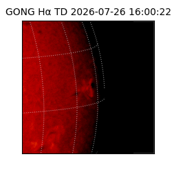 gong - 2026-07-26T16:00:22