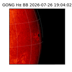 gong - 2026-07-26T19:04:02