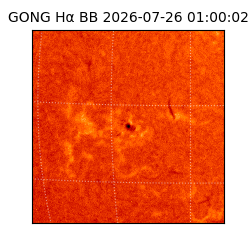 gong - 2026-07-26T01:00:02