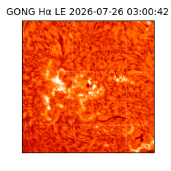 gong - 2026-07-26T03:00:42
