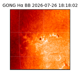 gong - 2026-07-26T18:18:02