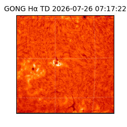 gong - 2026-07-26T07:17:22