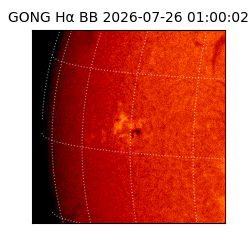 gong - 2026-07-26T01:00:02