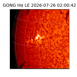 gong - 2026-07-26T02:00:42