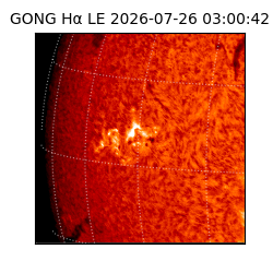 gong - 2026-07-26T03:00:42