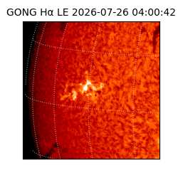 gong - 2026-07-26T04:00:42