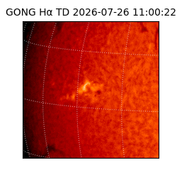 gong - 2026-07-26T11:00:22
