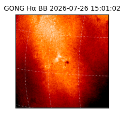 gong - 2026-07-26T15:01:02