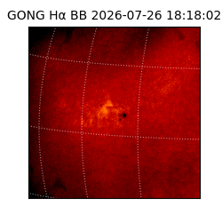 gong - 2026-07-26T18:18:02