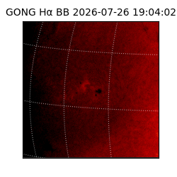 gong - 2026-07-26T19:04:02