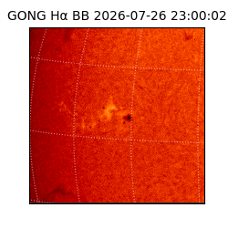 gong - 2026-07-26T23:00:02