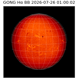 gong - 2026-07-26T01:00:02