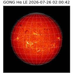 gong - 2026-07-26T02:00:42