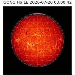 gong - 2026-07-26T03:00:42