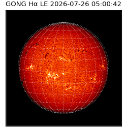 gong - 2026-07-26T05:00:42