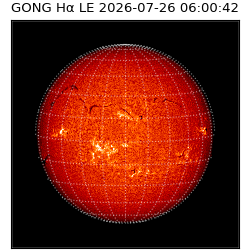 gong - 2026-07-26T06:00:42