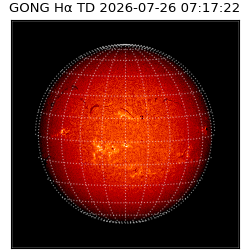 gong - 2026-07-26T07:17:22