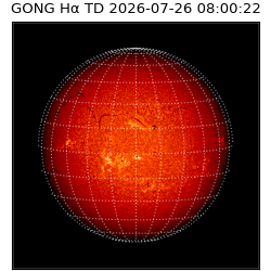 gong - 2026-07-26T08:00:22