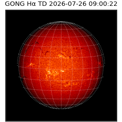 gong - 2026-07-26T09:00:22