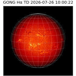 gong - 2026-07-26T10:00:22