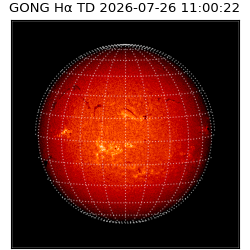 gong - 2026-07-26T11:00:22