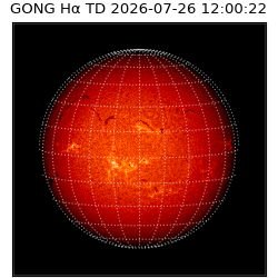 gong - 2026-07-26T12:00:22