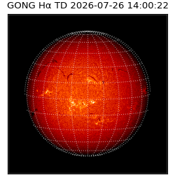 gong - 2026-07-26T14:00:22