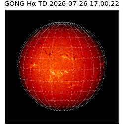 gong - 2026-07-26T17:00:22