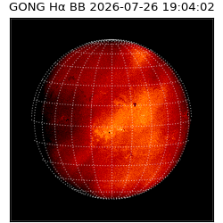 gong - 2026-07-26T19:04:02