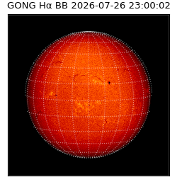 gong - 2026-07-26T23:00:02