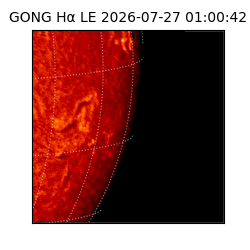 gong - 2026-07-27T01:00:42
