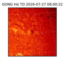 gong - 2026-07-27T08:00:22