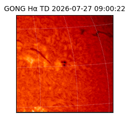 gong - 2026-07-27T09:00:22