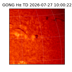 gong - 2026-07-27T10:00:22