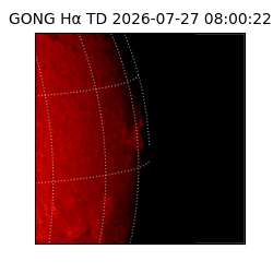 gong - 2026-07-27T08:00:22