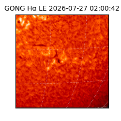 gong - 2026-07-27T02:00:42