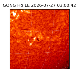 gong - 2026-07-27T03:00:42