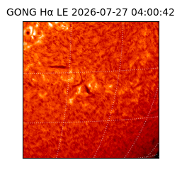 gong - 2026-07-27T04:00:42