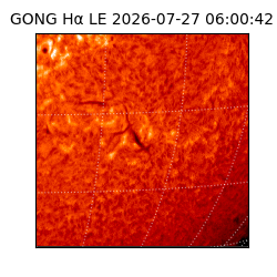 gong - 2026-07-27T06:00:42